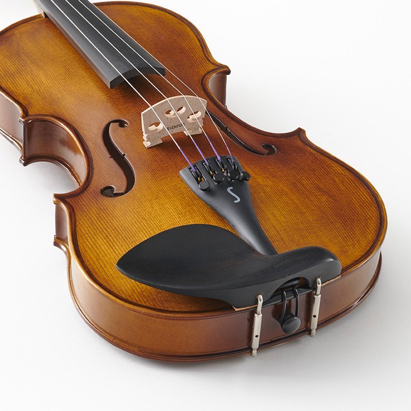 Stentor Graduate Violin Outfit