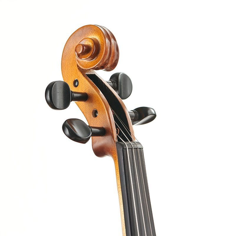 Stentor Graduate Violin Outfit