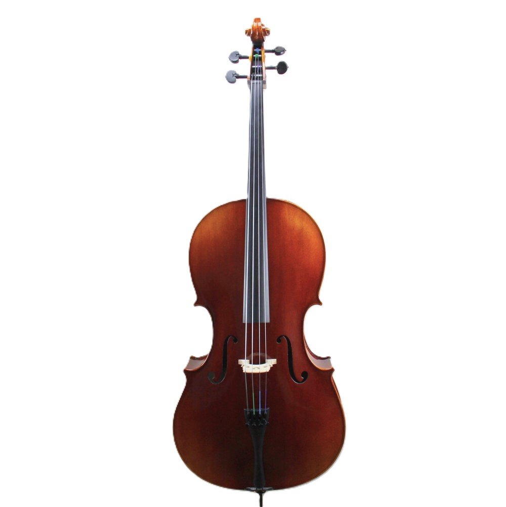 The Alunno Hand Crafted Cello