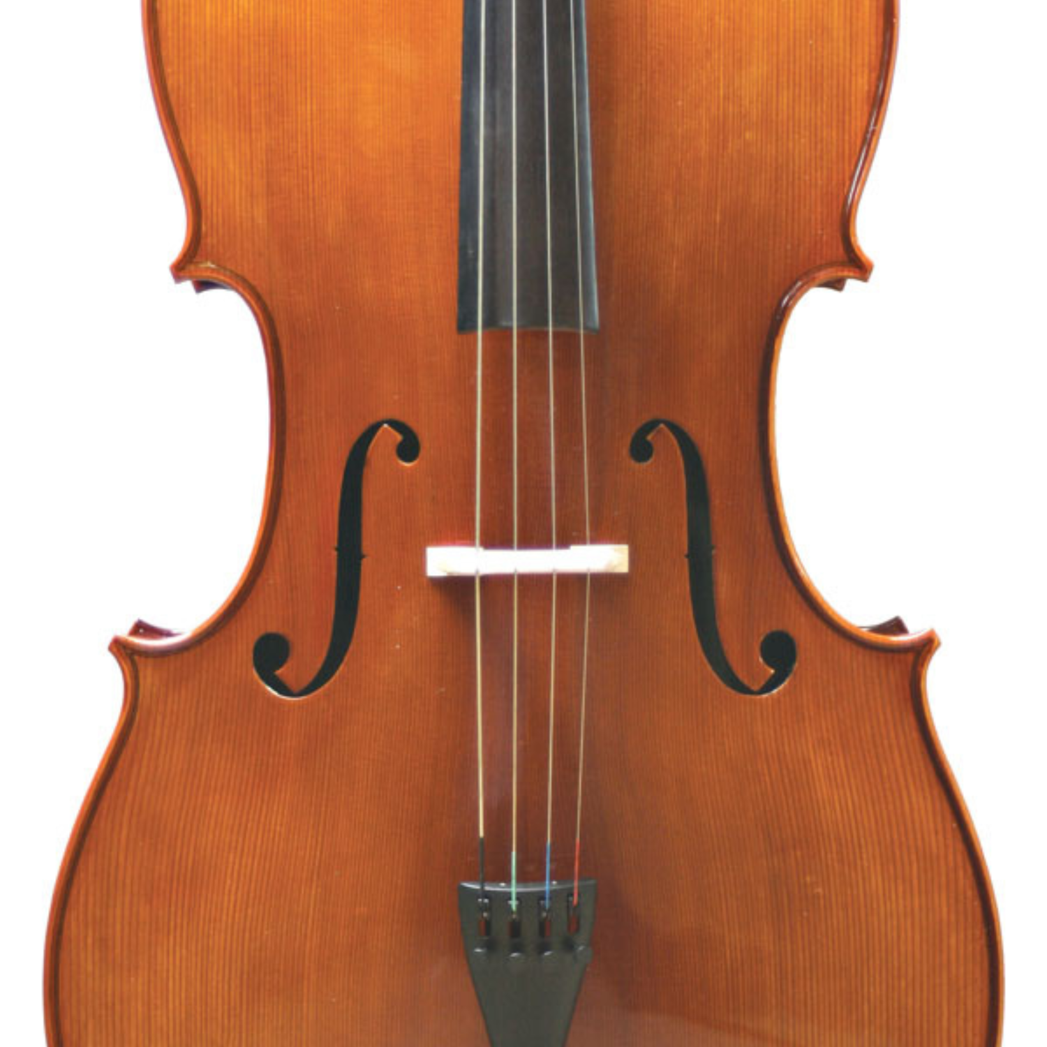 Premium Cello Rental Package