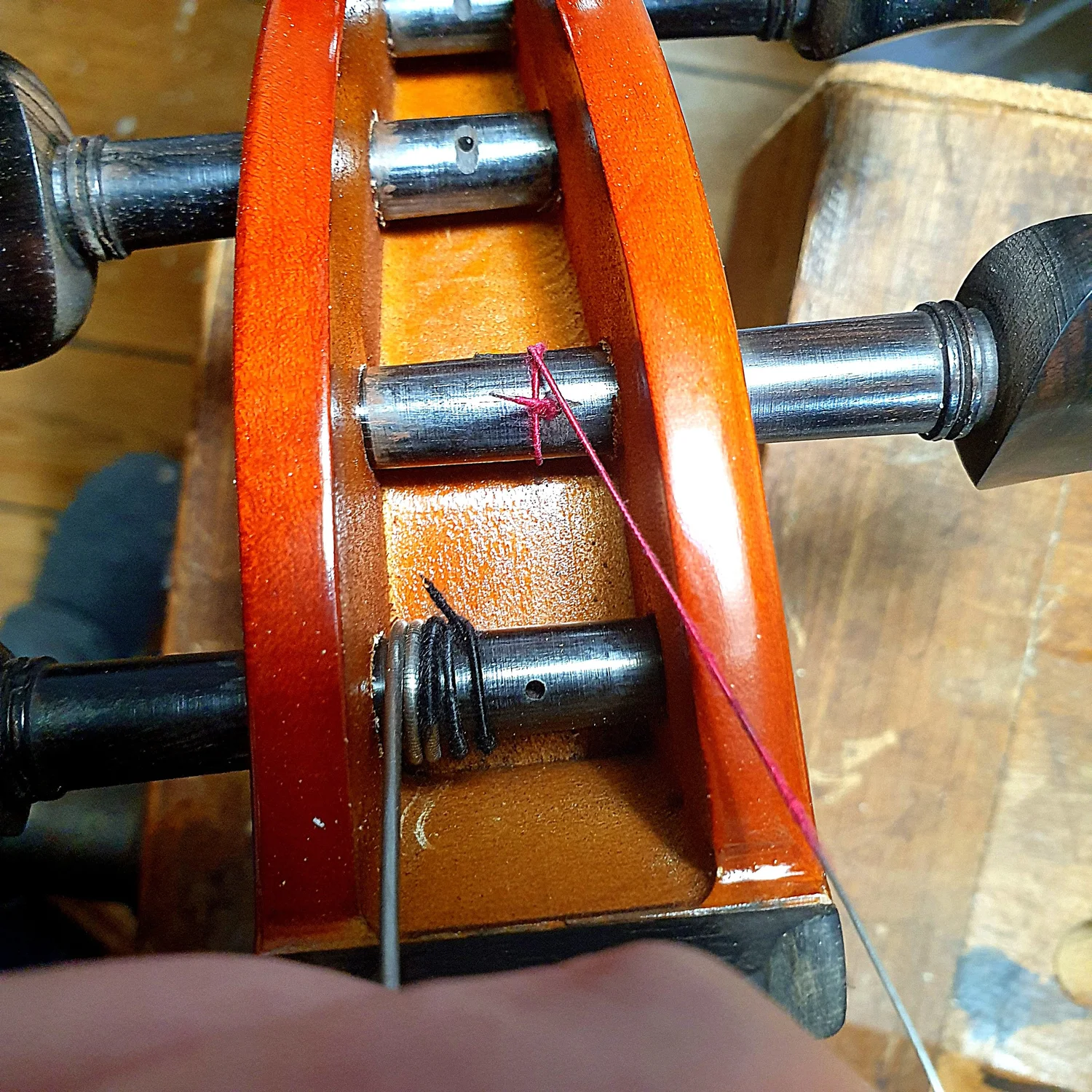 How to Change a Violin String Like a Pro | Step-by-Step Guide — Bridge ...