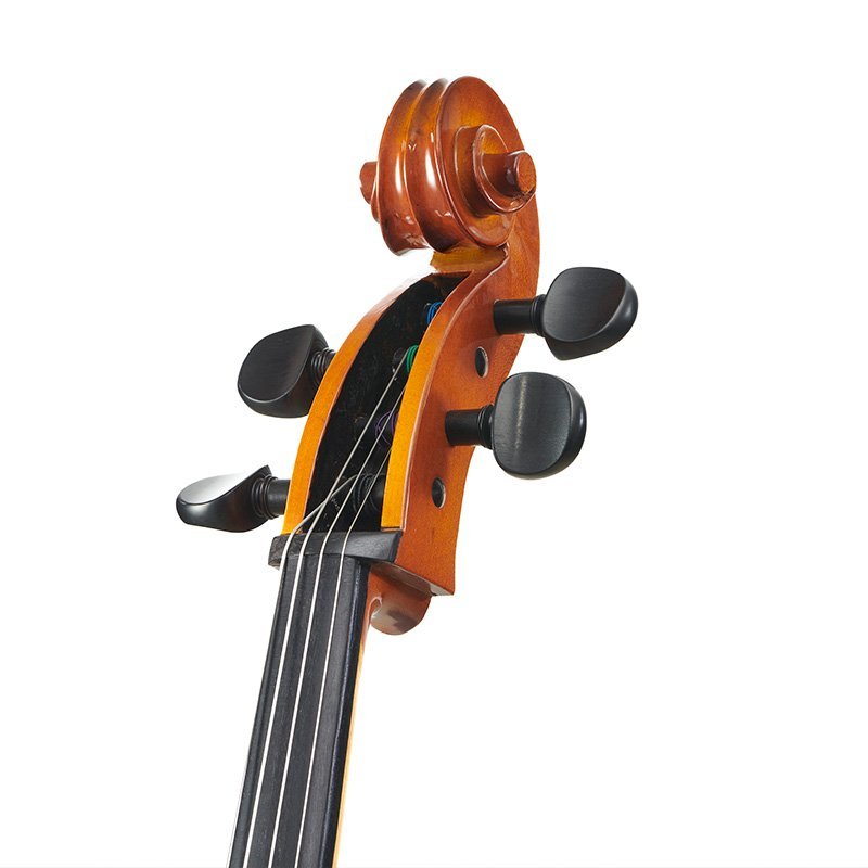 Stentor Conservatoire Cello Outfit