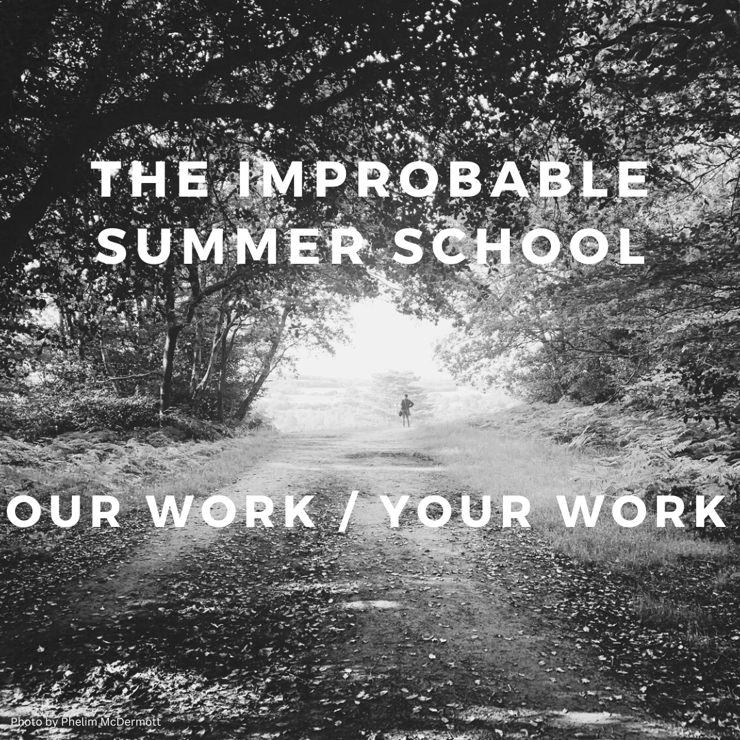 Improbable Summer School
