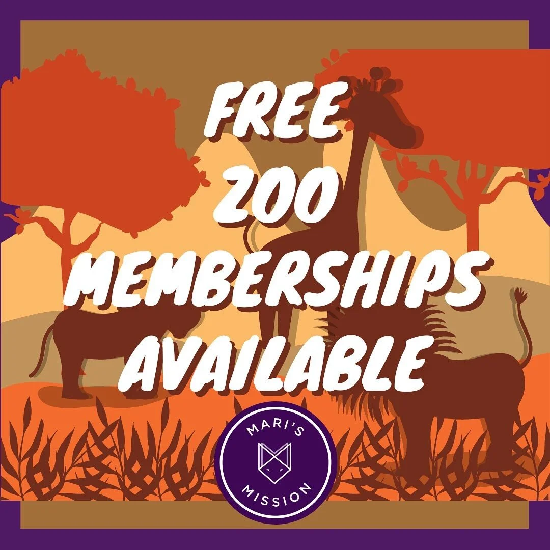 The donations that came in December far exceeded our goal and we are now able to offer even more annual passes to foster families in DFW! 
If you&rsquo;re a local foster family with a placement in your home, please contact us via www.marismission.org