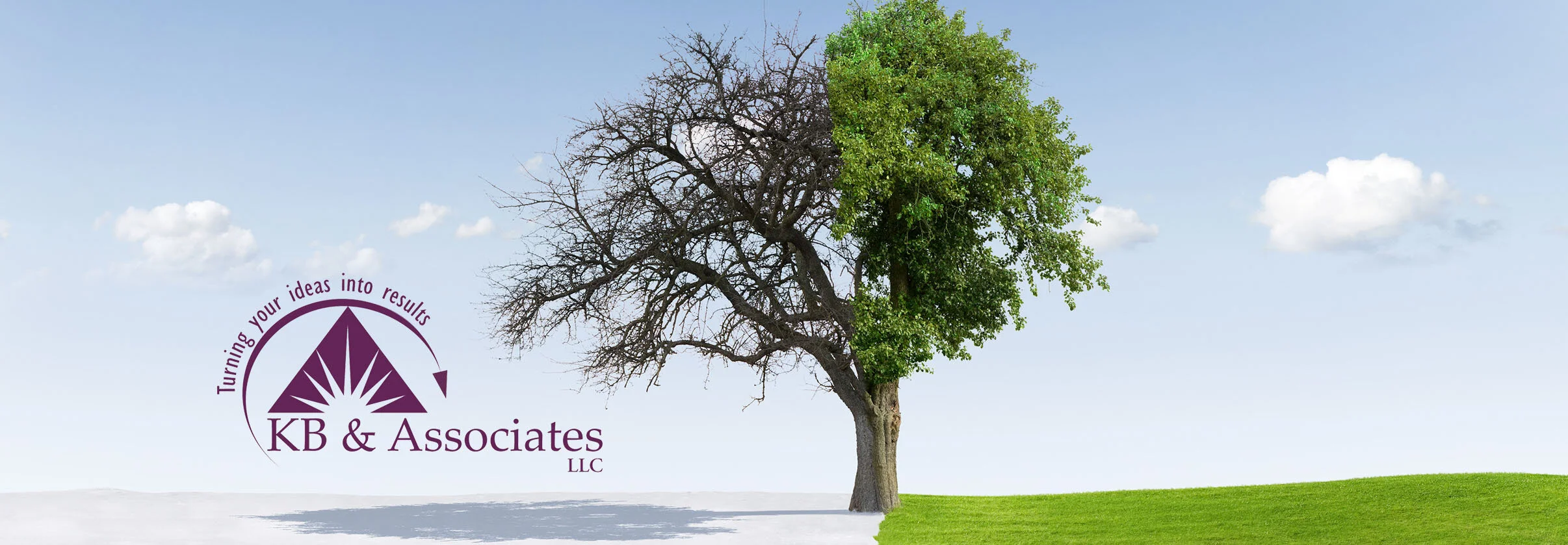 web header.jpg