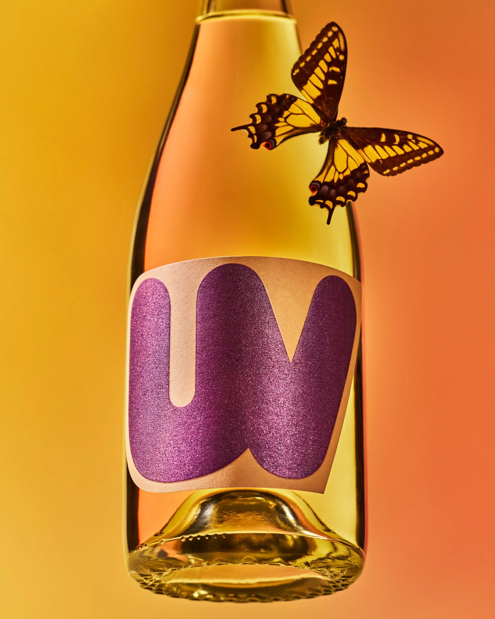 ultraviolet-wines_nicola-parisi_july-2026_0760.jpg