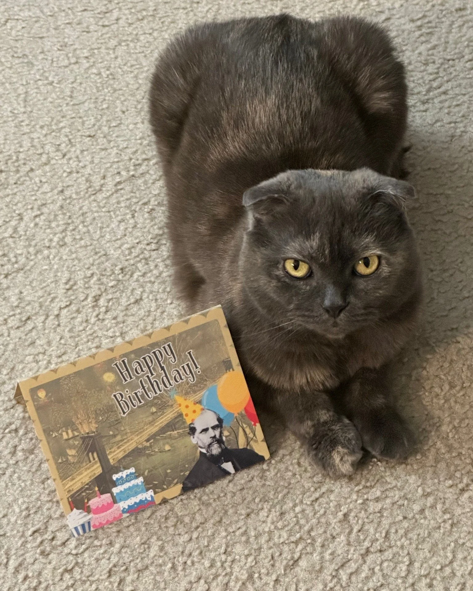 Meet our furriest birthday card recipient, Smokie the Cat Kotch! Her humans requested a birthday card to celebrate the day her parents adopted her. Her mom, Barbara Kotch, sent us this message:

"We greatly appreciate Smokie's birthday card! We'