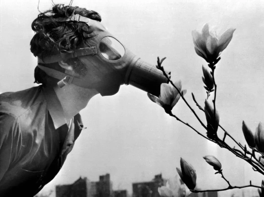 Earth Day, Every Day: change starts with you!