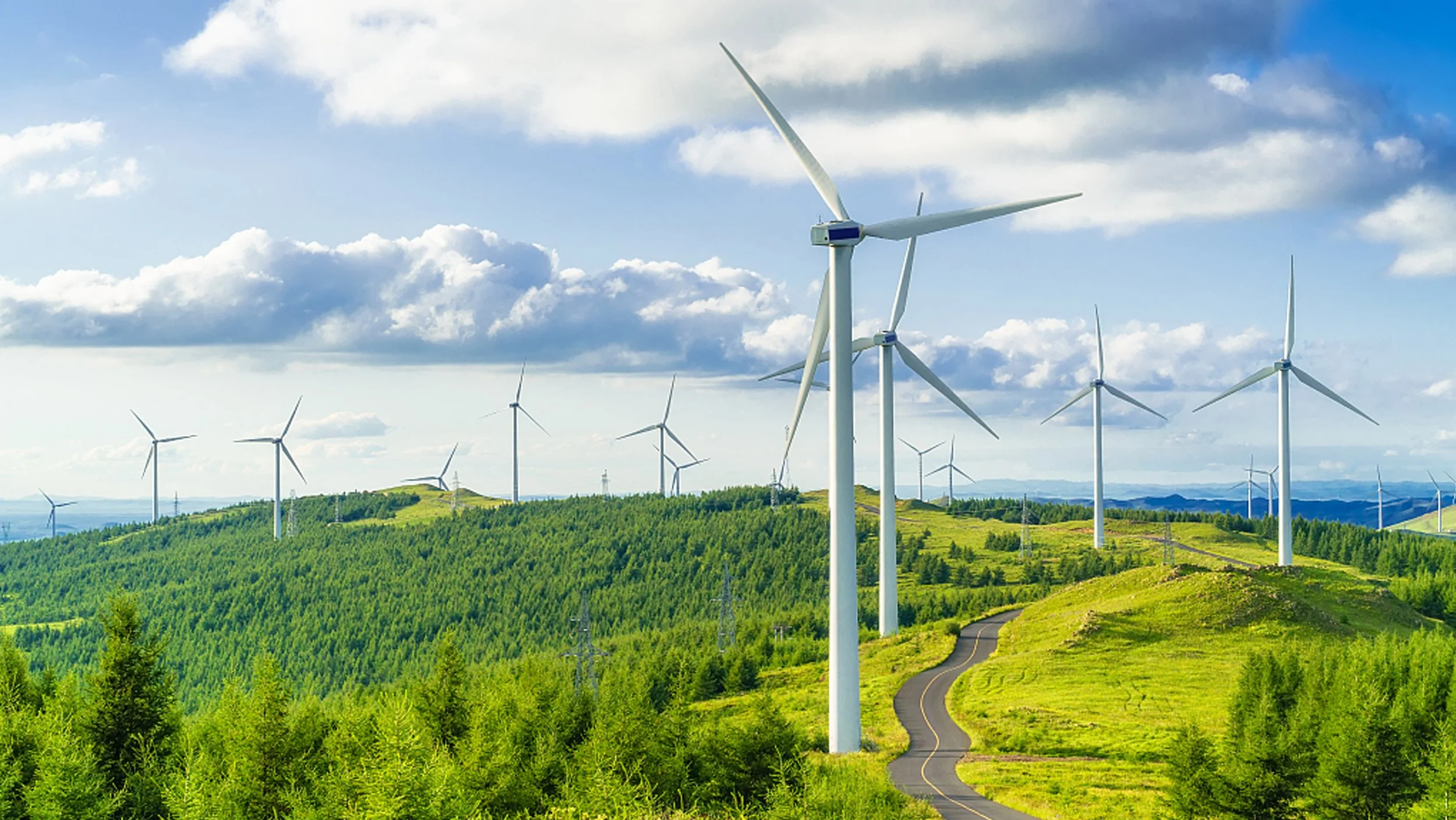 10th Low-Carbon Day witnesses China's green footprints