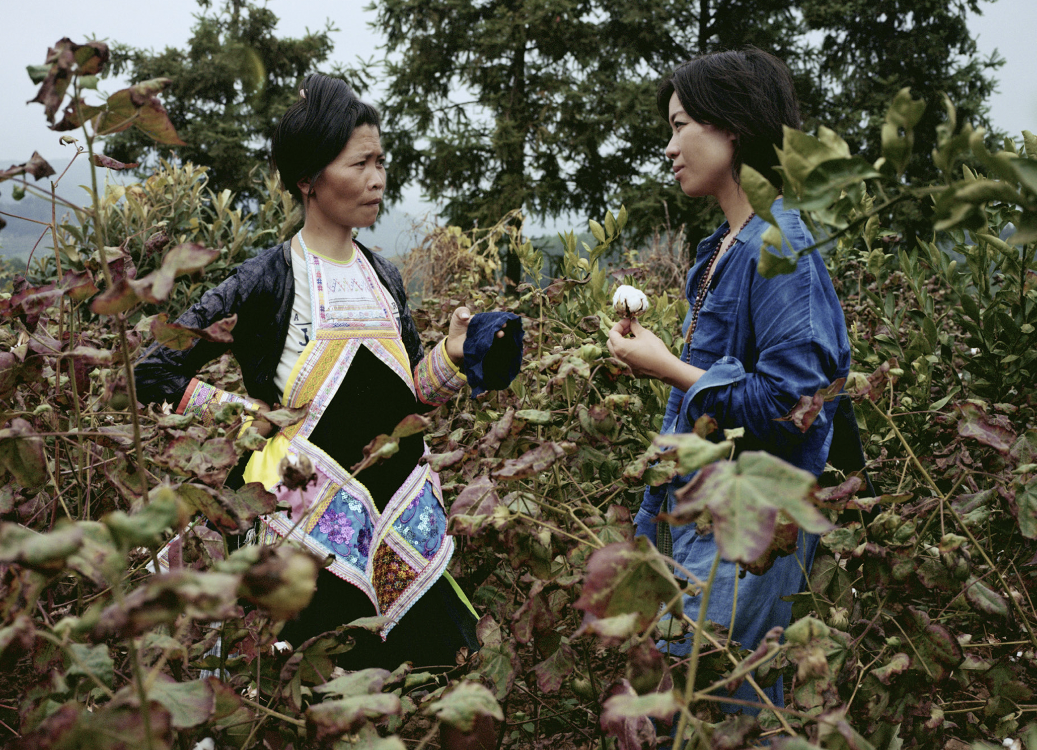 Angel Chang weaves the future with indigenous textiles