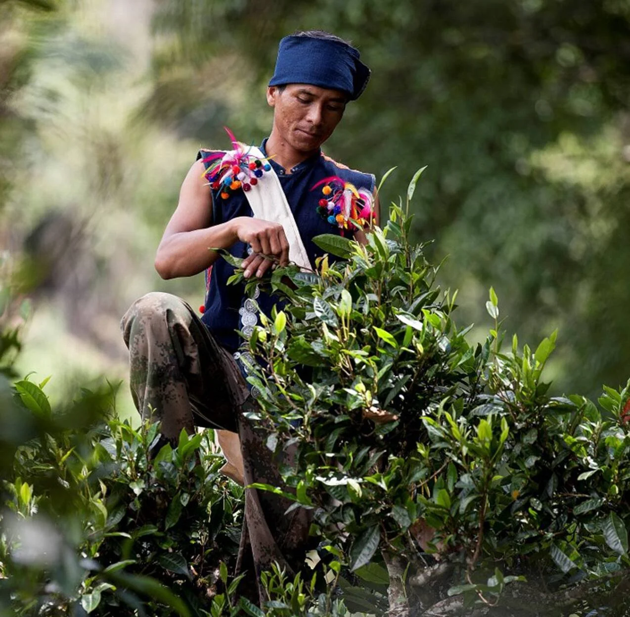 Cha Ling shutters physical China stores