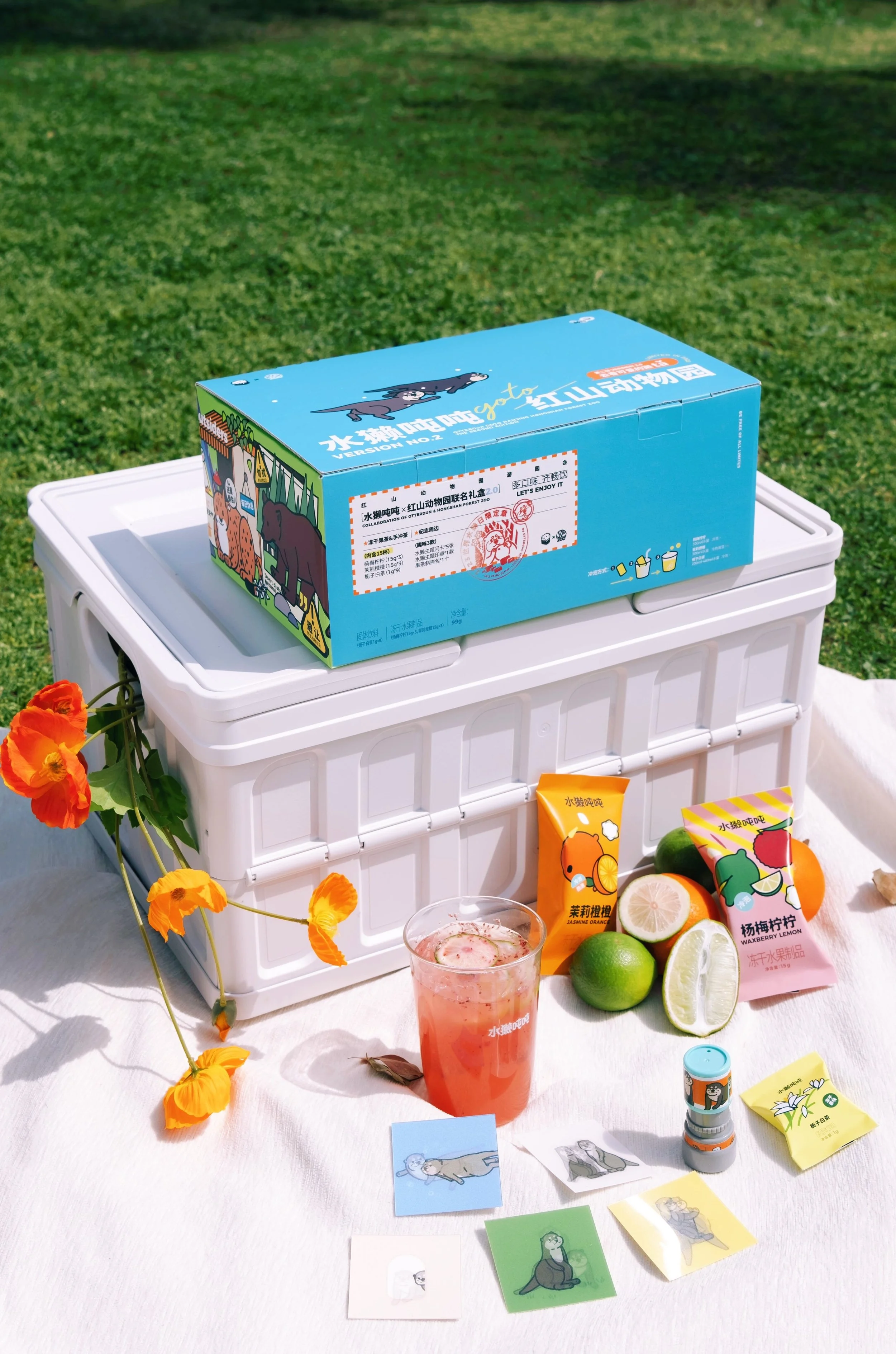 Otter Ton celebrates World Otter Day with pop-up events in 4 cities in China