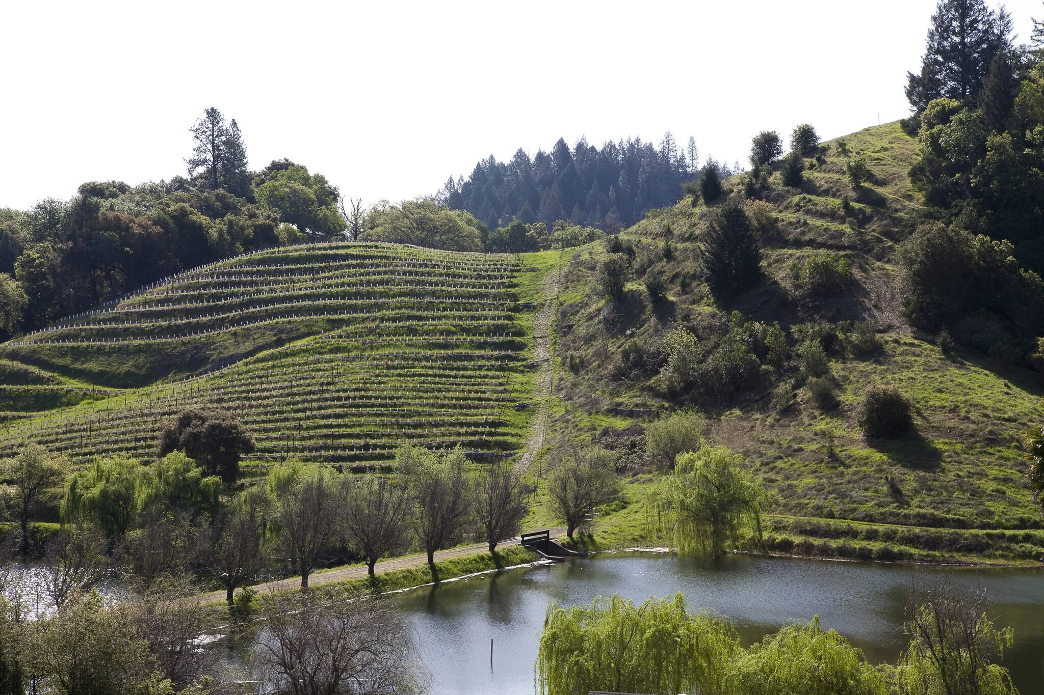 LVMH pledges to cut water consumption by 30% by 2030