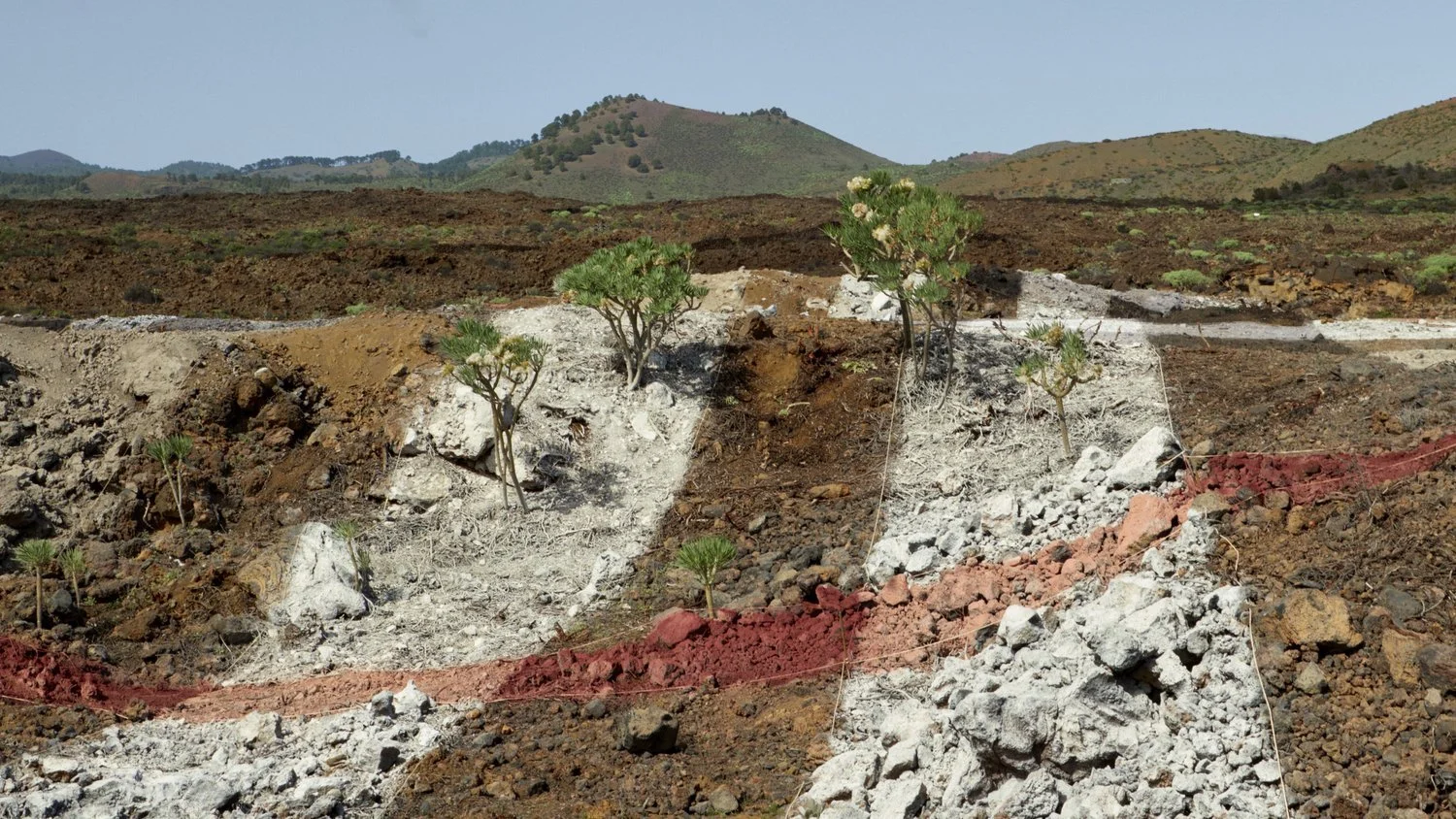Burberry climate-positive landscape launches in El Hierro, Canary Islands