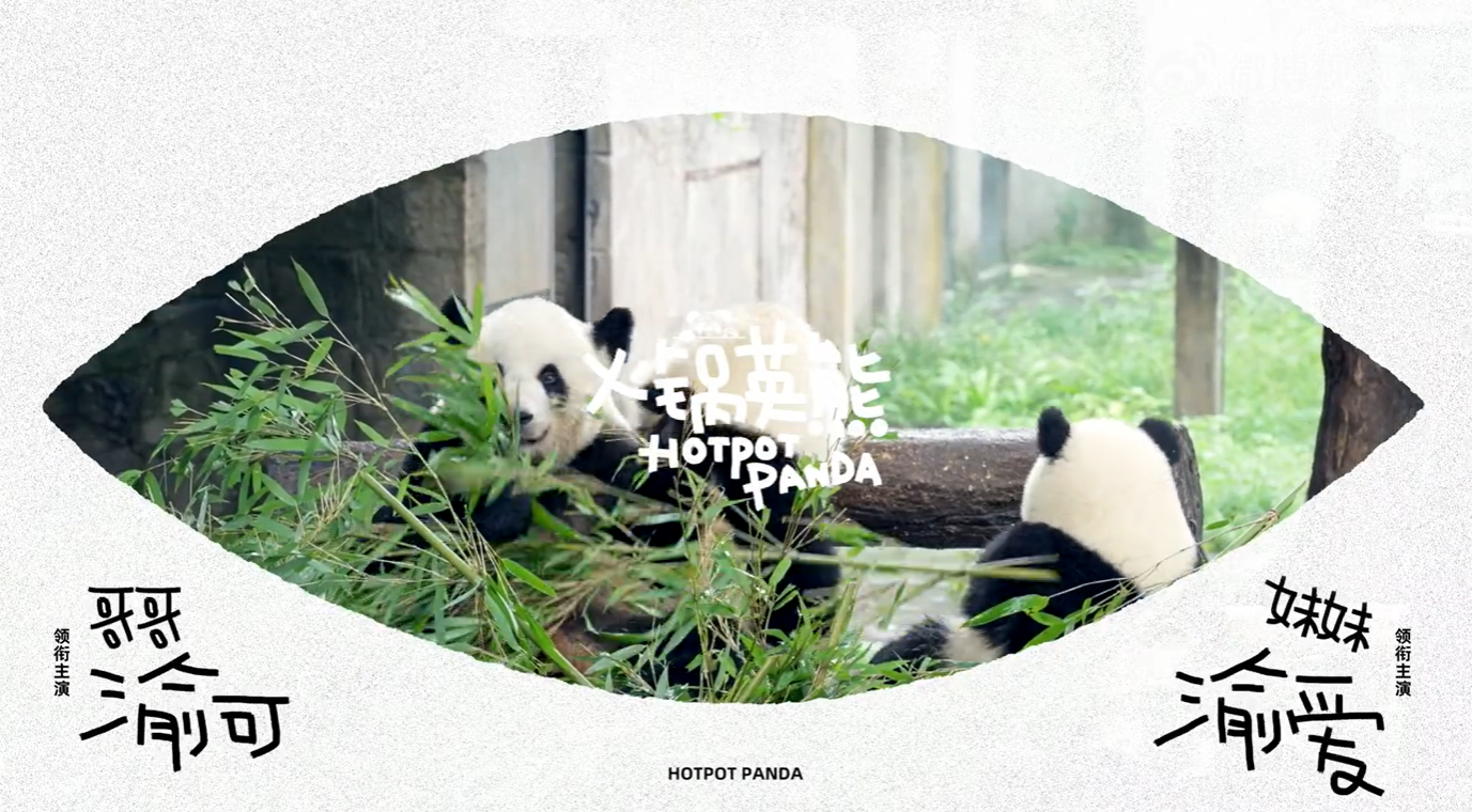 Midea customized the atmosphere for the adopted giant panda "Yuke Yuai"