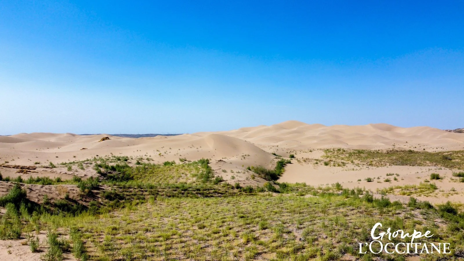 L'Occitane continues to advance the Million Trees Planting Plan in Ningxia, China