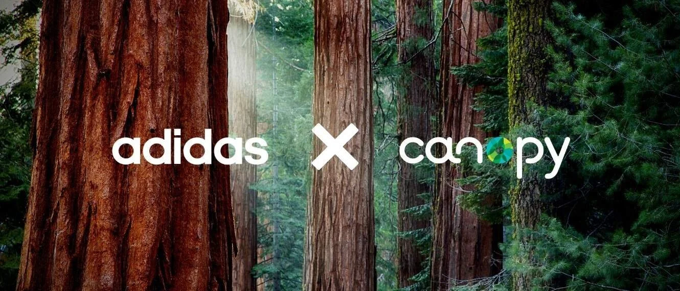 adidas joins Canopy forest initiatives