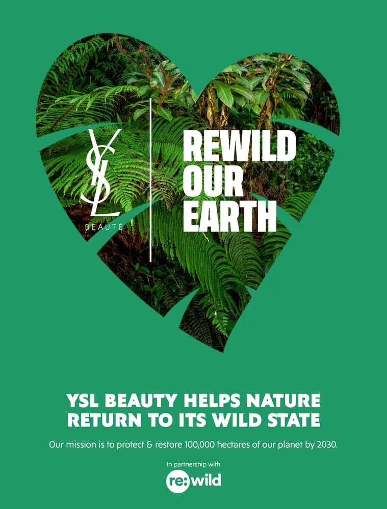 YSL Beauty expands rewilding efforts in a partnership with Re:wild