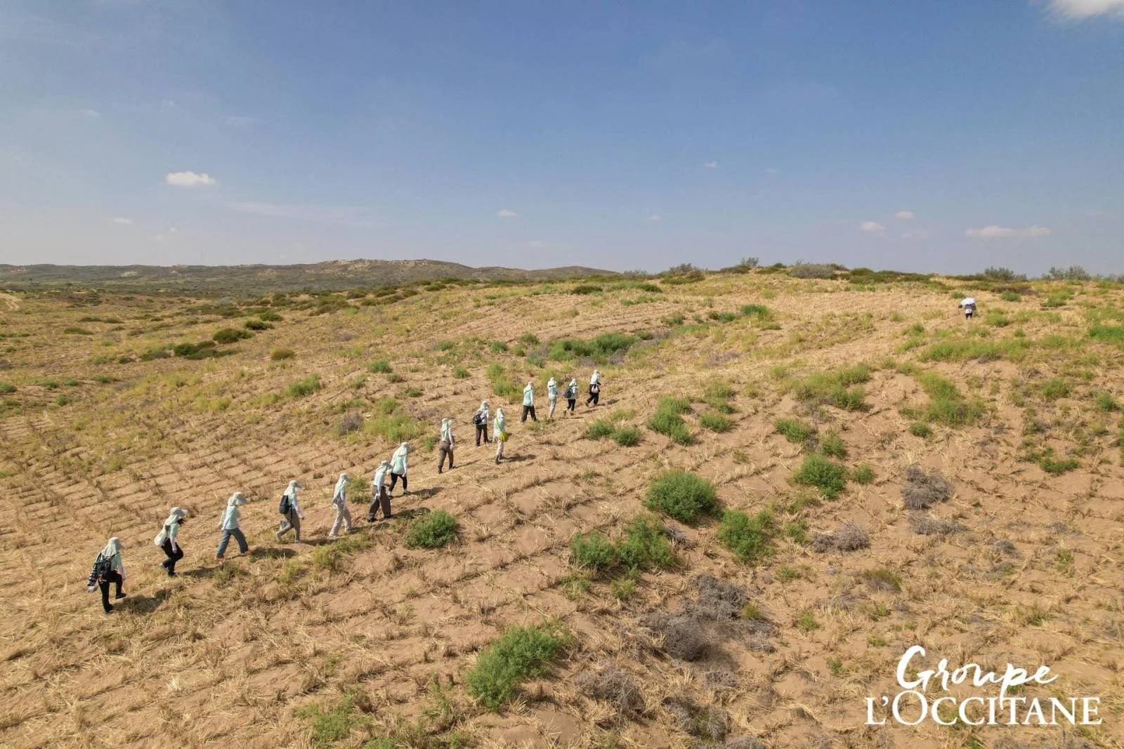 L'Occitane China launches "Million Tree Plan" reforestation initiative for the third consecutive year