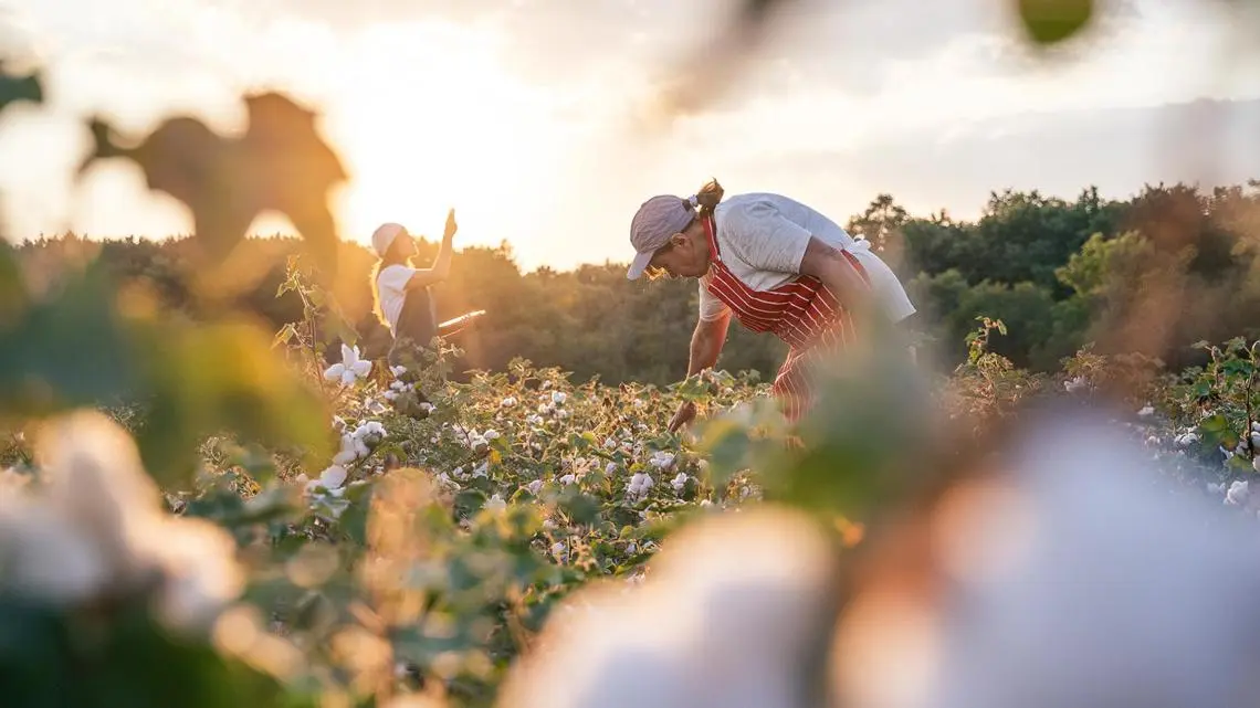 Kering leads the fashion industry in adopting science-based targets for nature