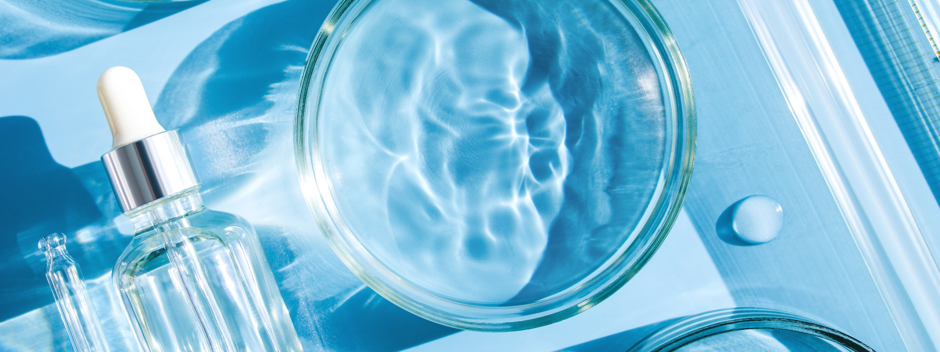 IBM and L'Oréal to build the first AI model to advance the creation of sustainable cosmetics