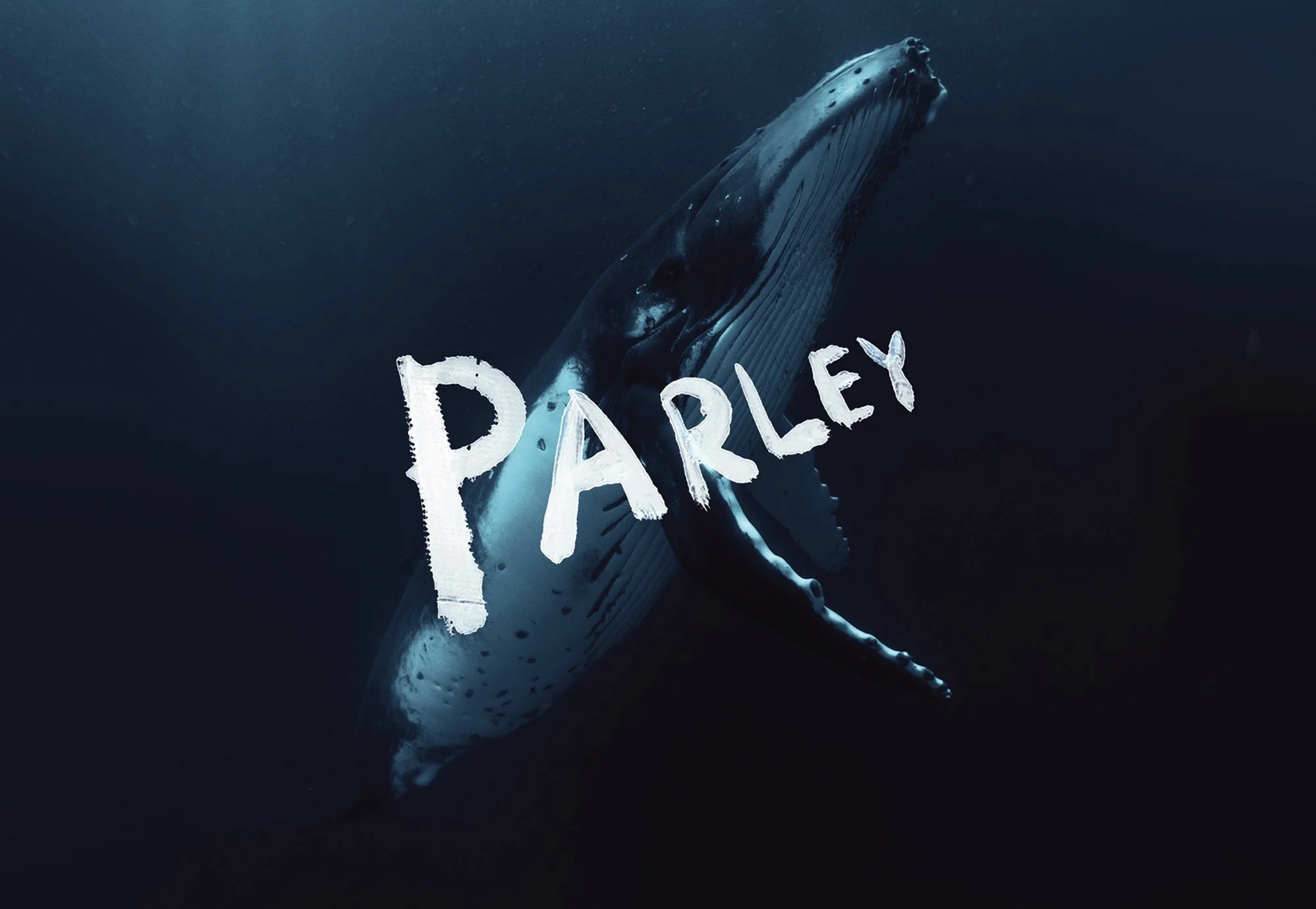 Parley for the Oceans launches new label and incubator for eco-innovation