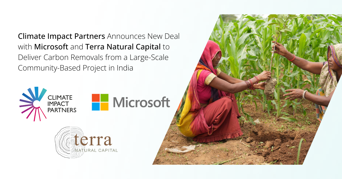 Microsoft signs 30-year carbon removal afforestation deal in India