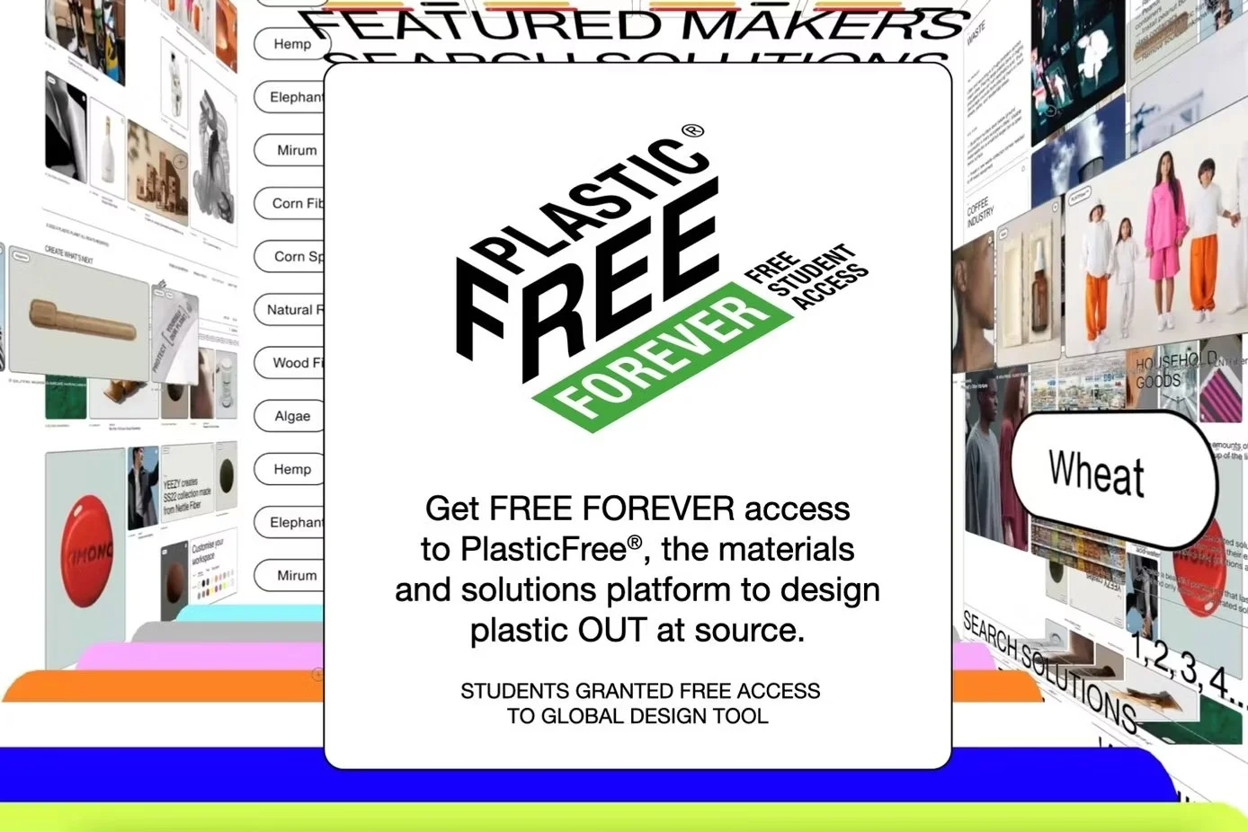 PlasticFree launches student program to tackle plastic waste