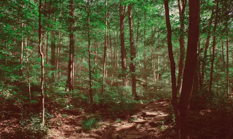 Yibin Grace opens first recycled textile pulp facility in China