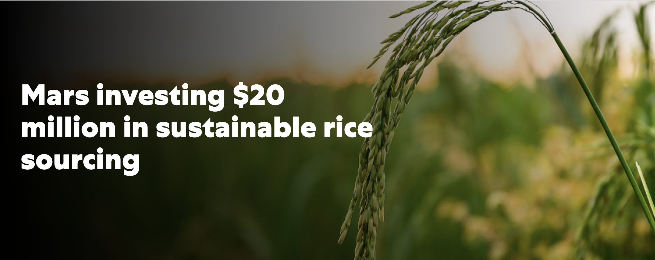 Mars Announces USD 20 Million Commitment to Scale Climate-Smart Rice Farming by 2030
