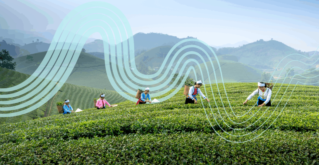 SBTN Announces First Cohort of Companies Stepping Up for Nature