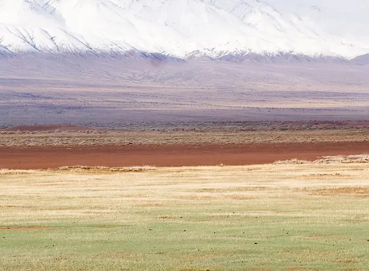Kering publishes 10-year Impact Report charting a decade of action