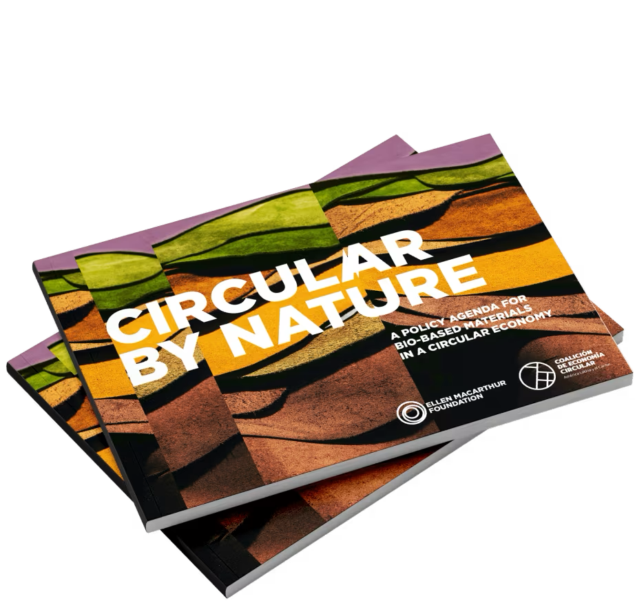 Bio_materials_-_2026_-_Report_cover_in_masthead.png