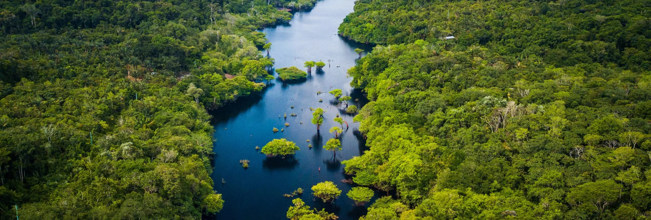 Inditex Commits €6.5 Million to Protect the Amazon Through Conservation International Partnership