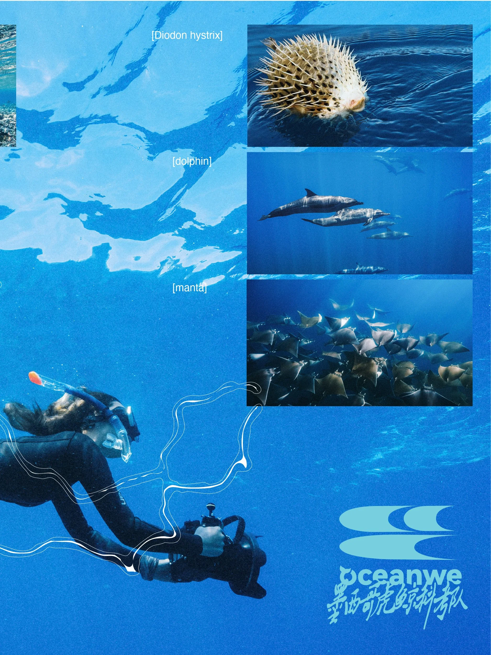 224935-1785748210.jpg