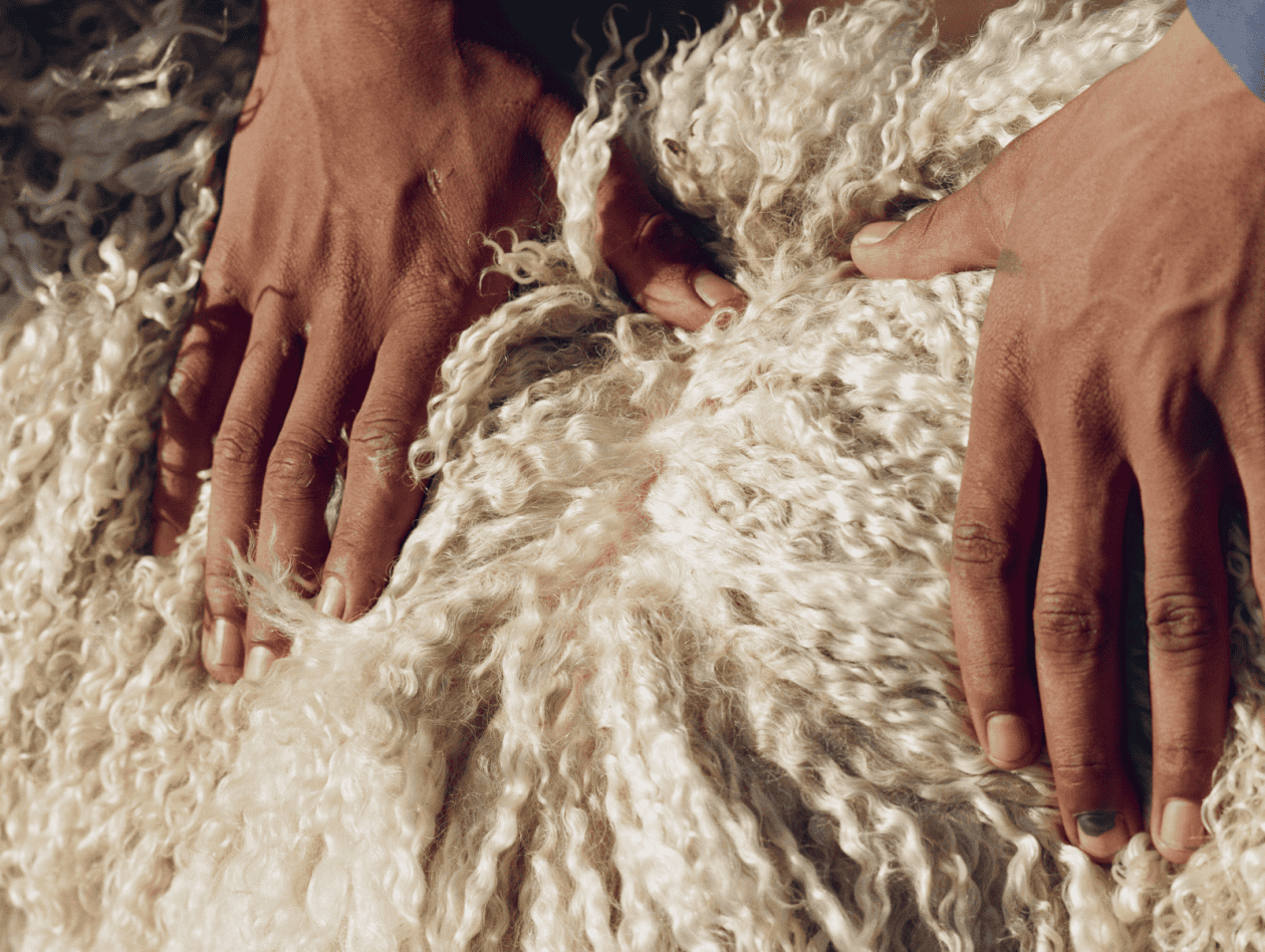 mohair-preperation-630x474@2x.png