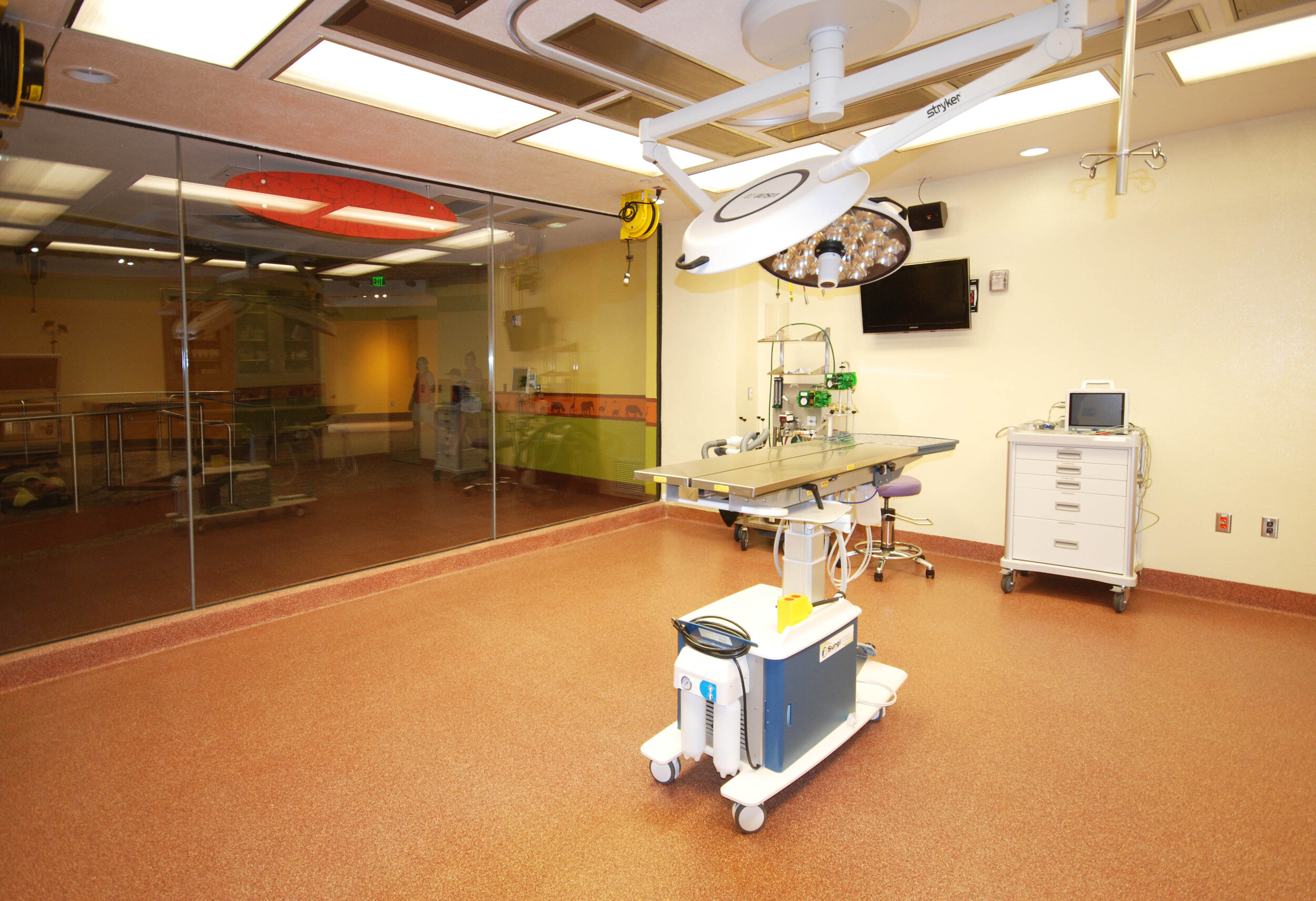 13-Surgery.jpg
