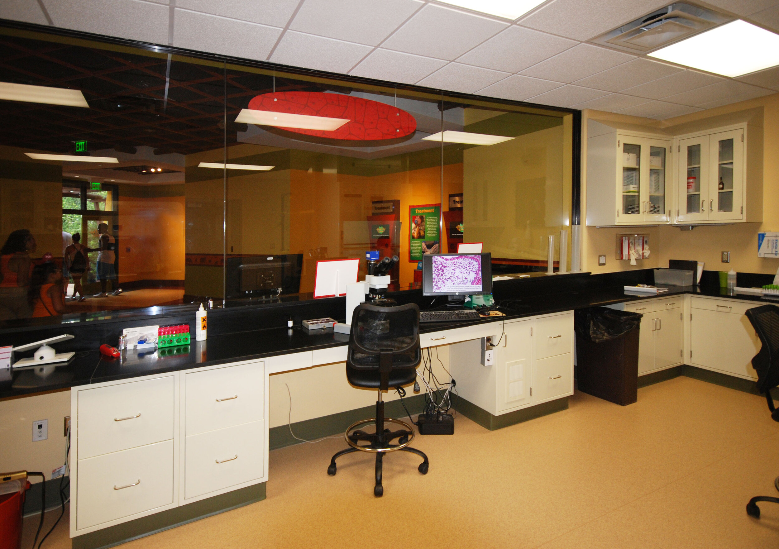 08-Lab.jpg