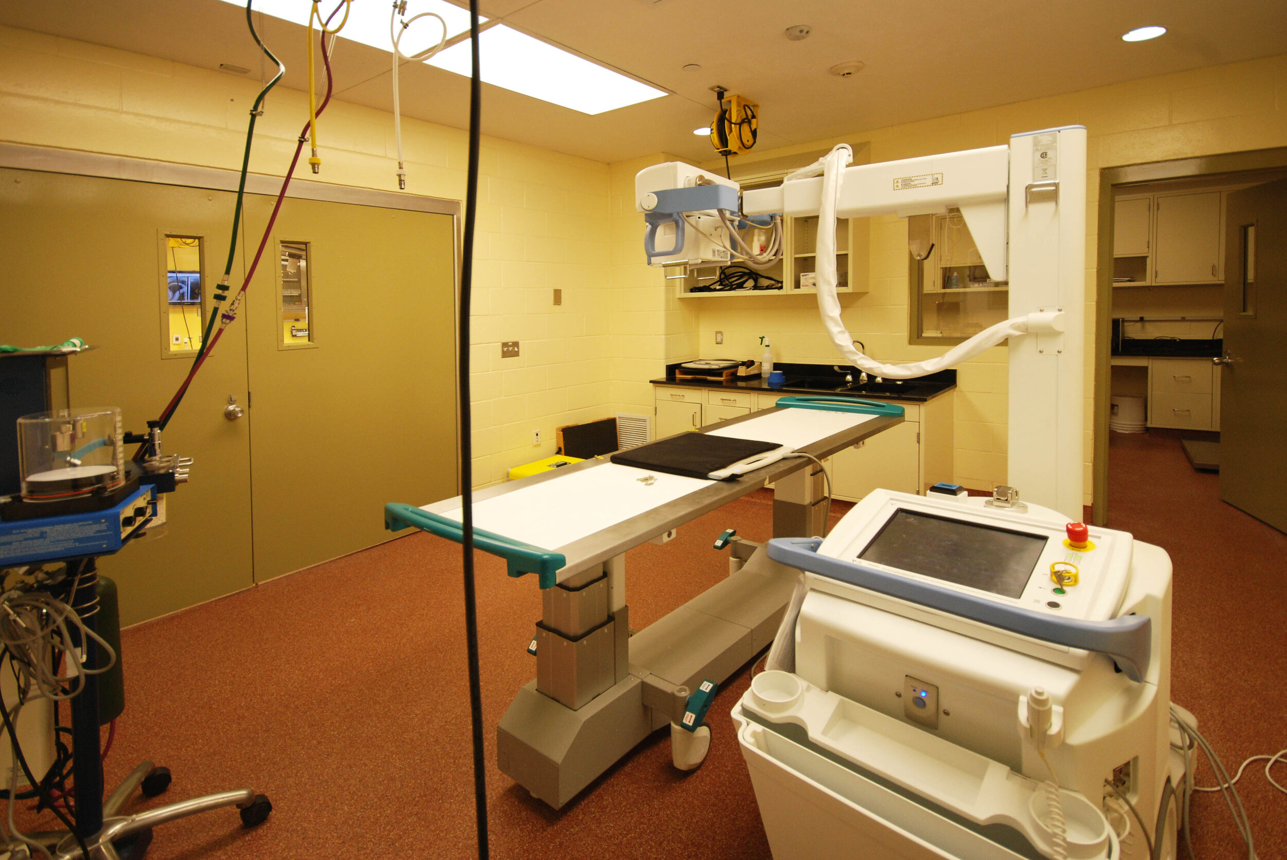 19-Radiology.jpg
