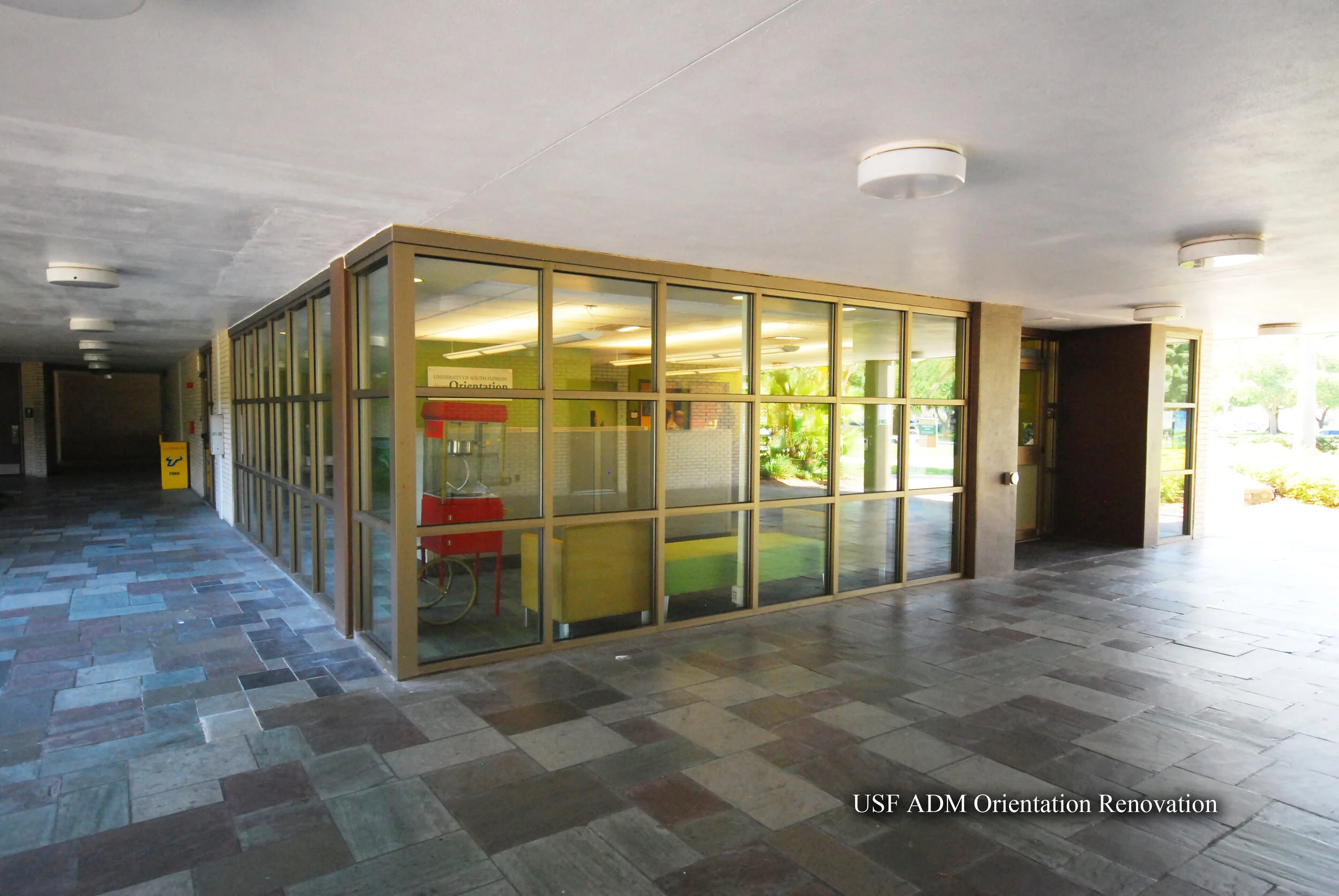 Web_USF ADM Orientation1.jpg