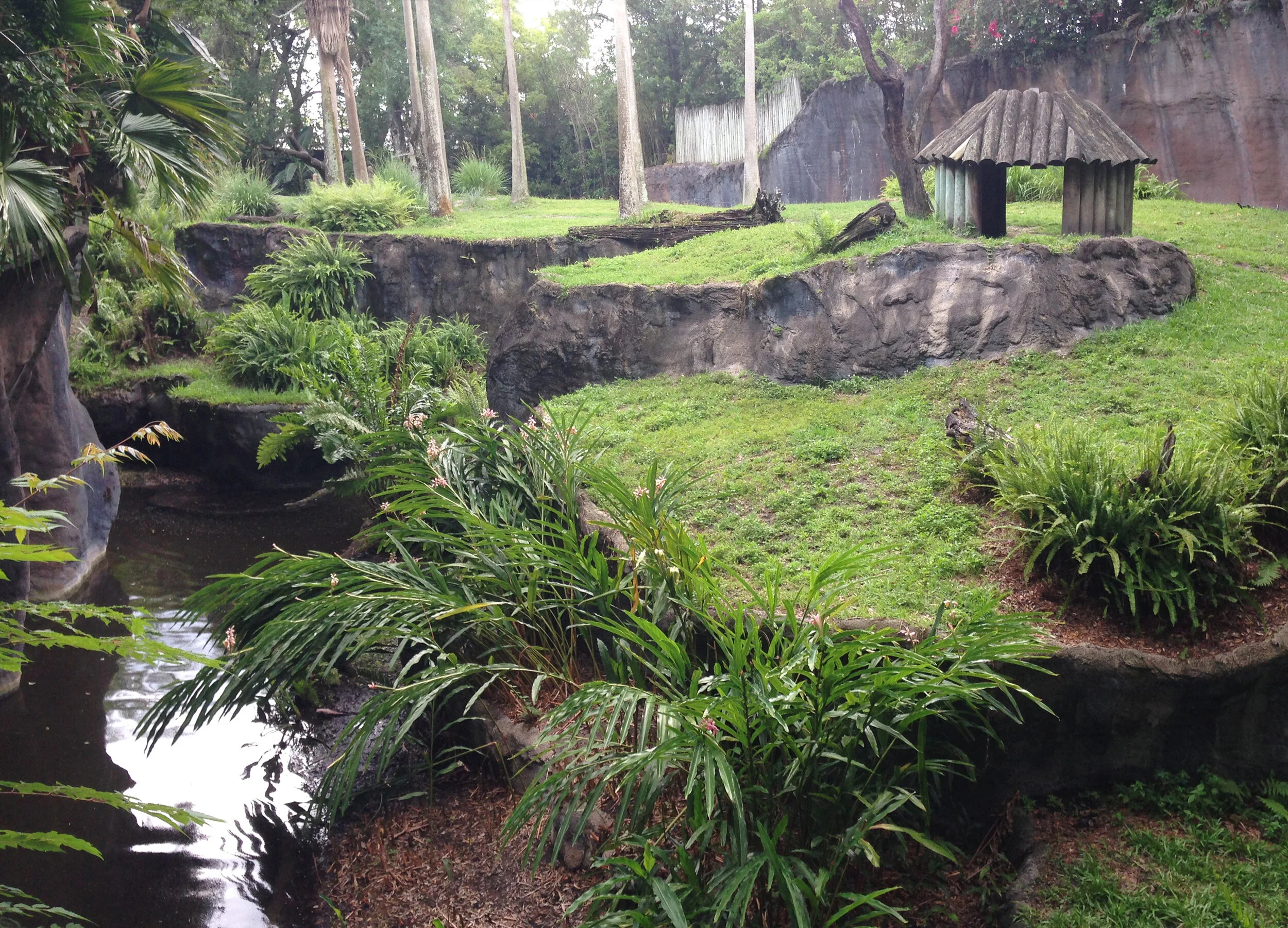Web_BGT Myombe Chimp Huts1.jpg
