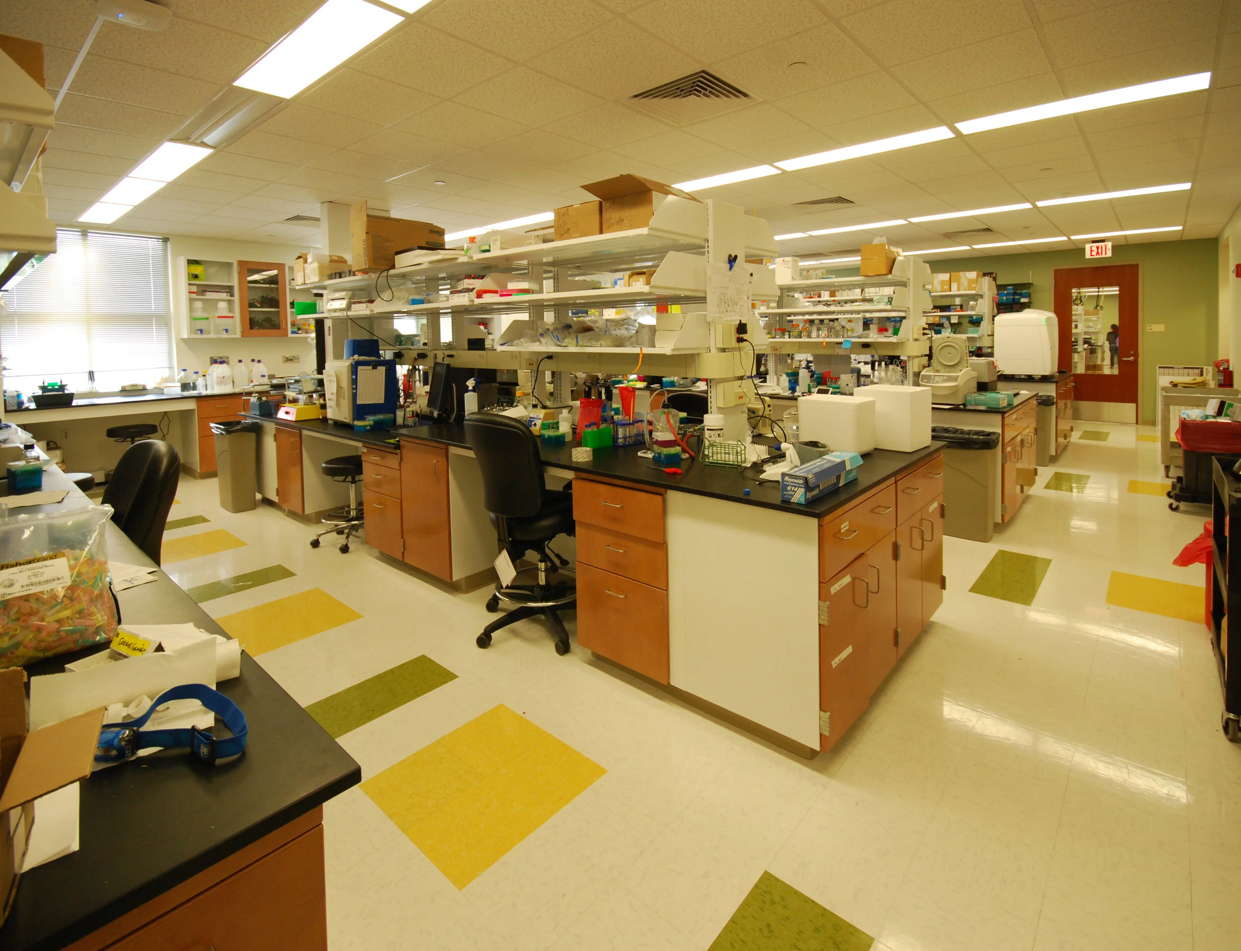 USF Alzheimer's Research Lab