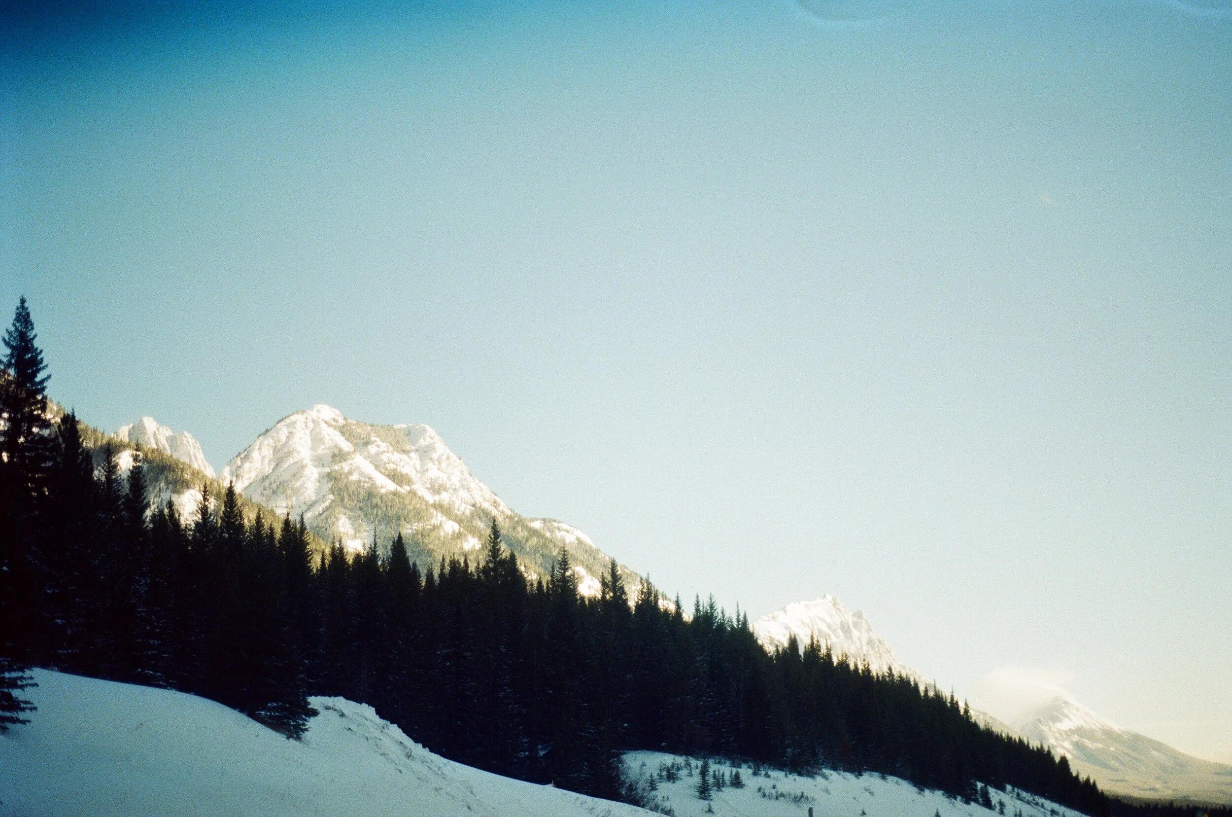 Canmore Tree LIne.jpg