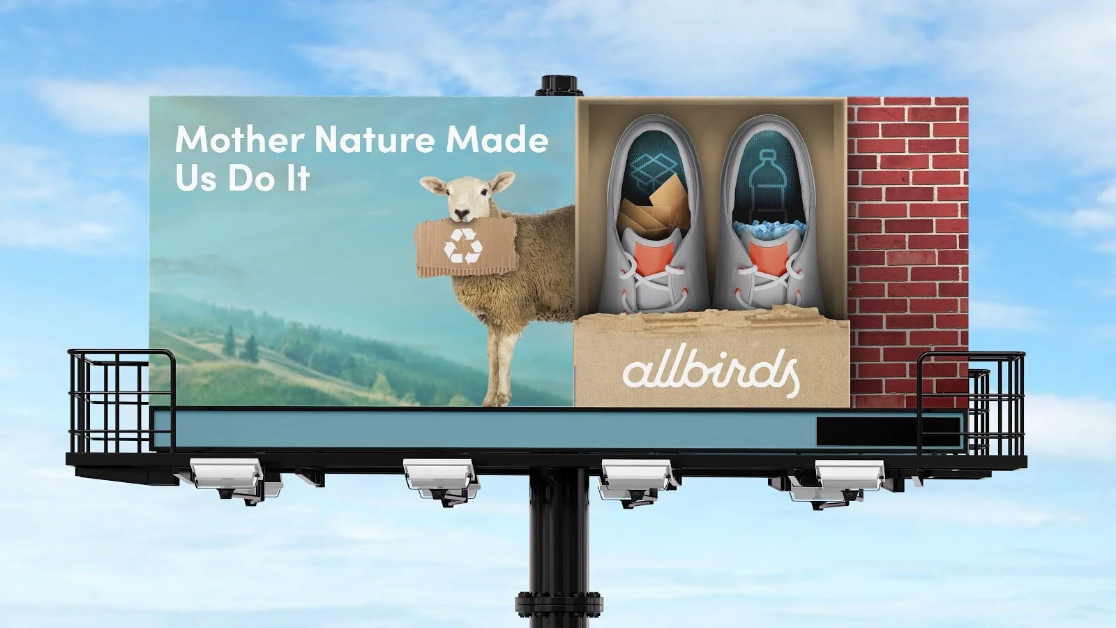 allbirds advertising