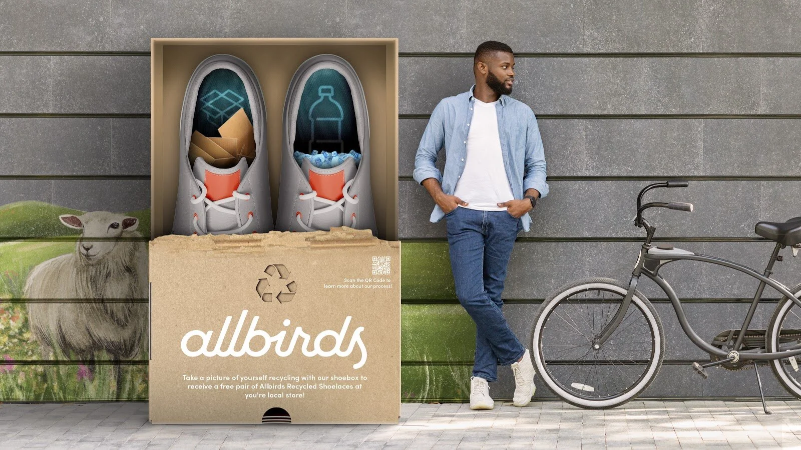 allbirds shoelaces
