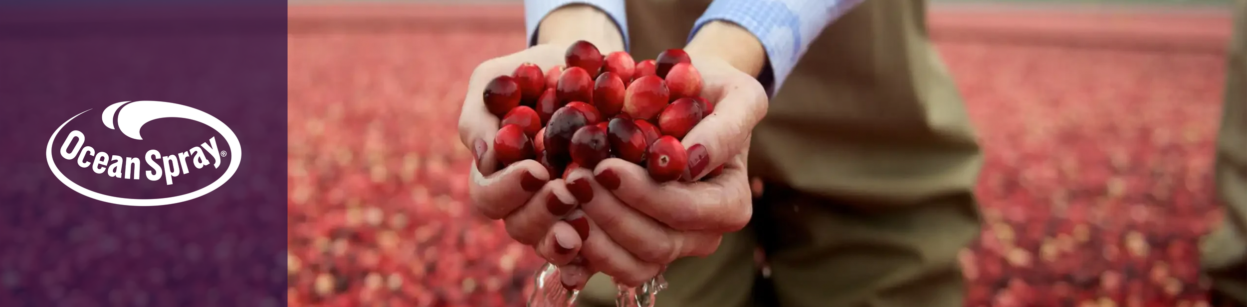 Ocean Spray Licensing