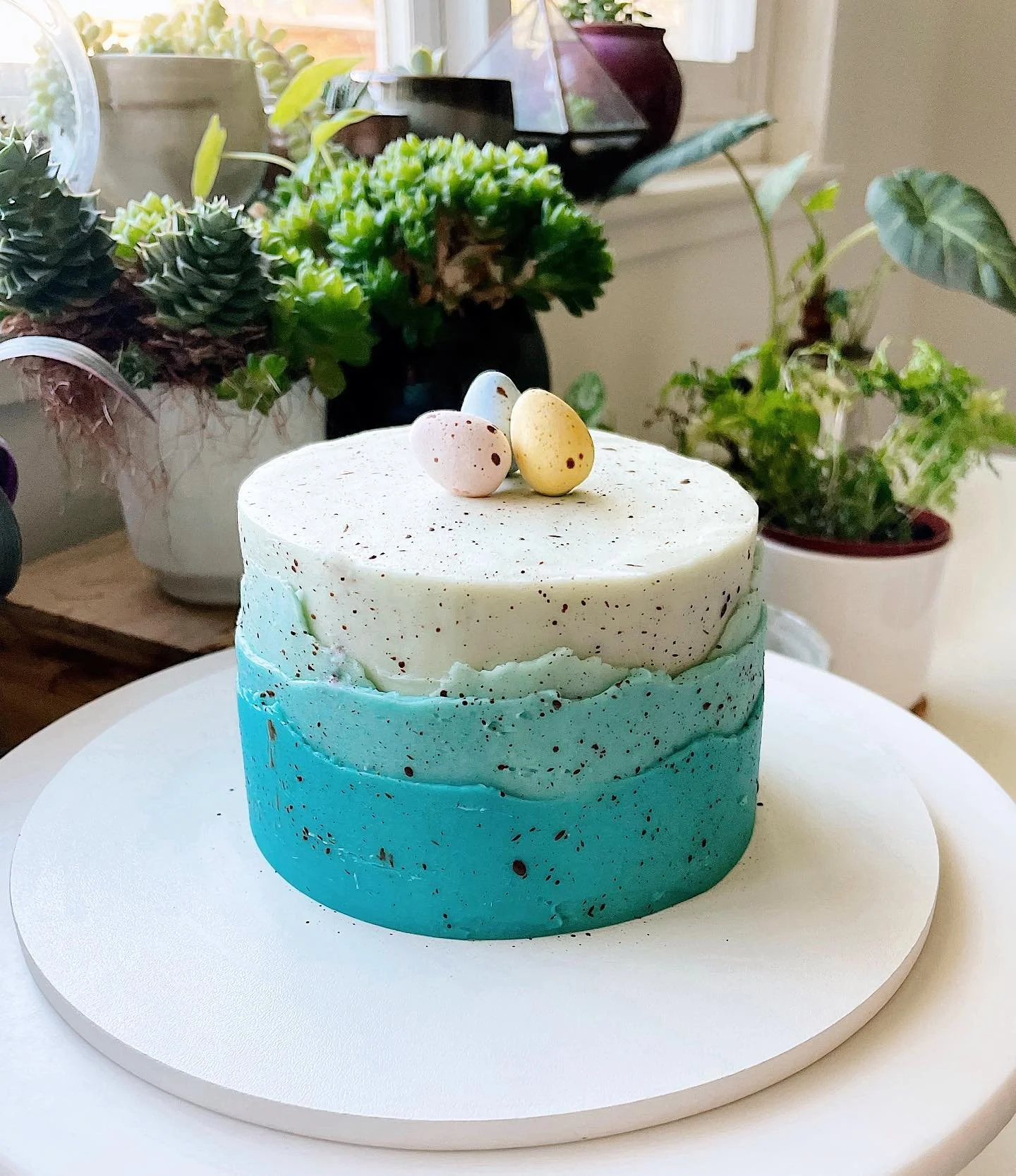 "Robin's egg ombre" cake inspired by @preppykitchen and @kalesuckz. Cake is an attempt at @theprolificoven's chocolate cake filled with cream cheese frosting and egg-free meringue buttercream (see my story highlights for the recipe). Happy 