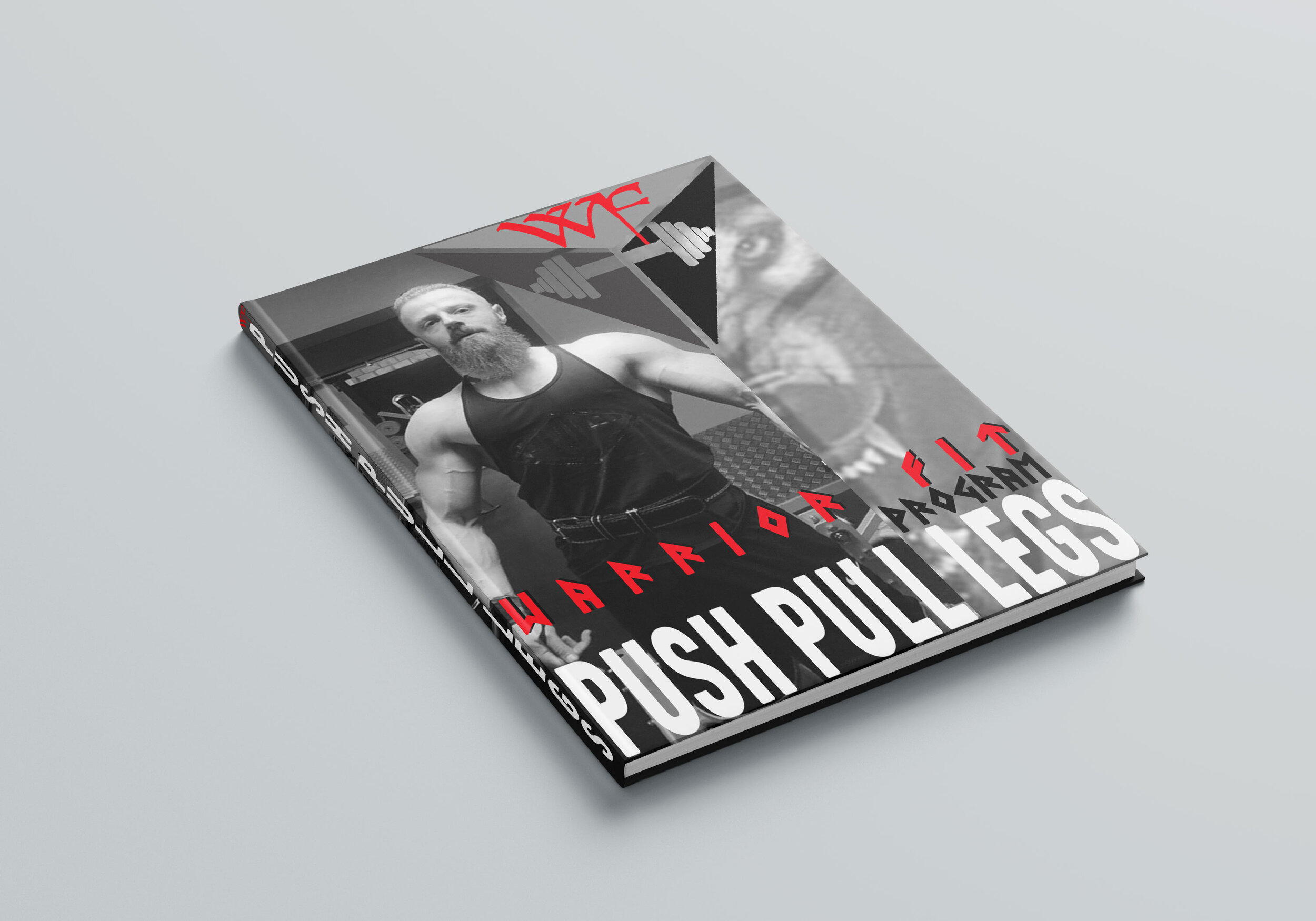Warrior Fit PUSH PULL LEGS Program