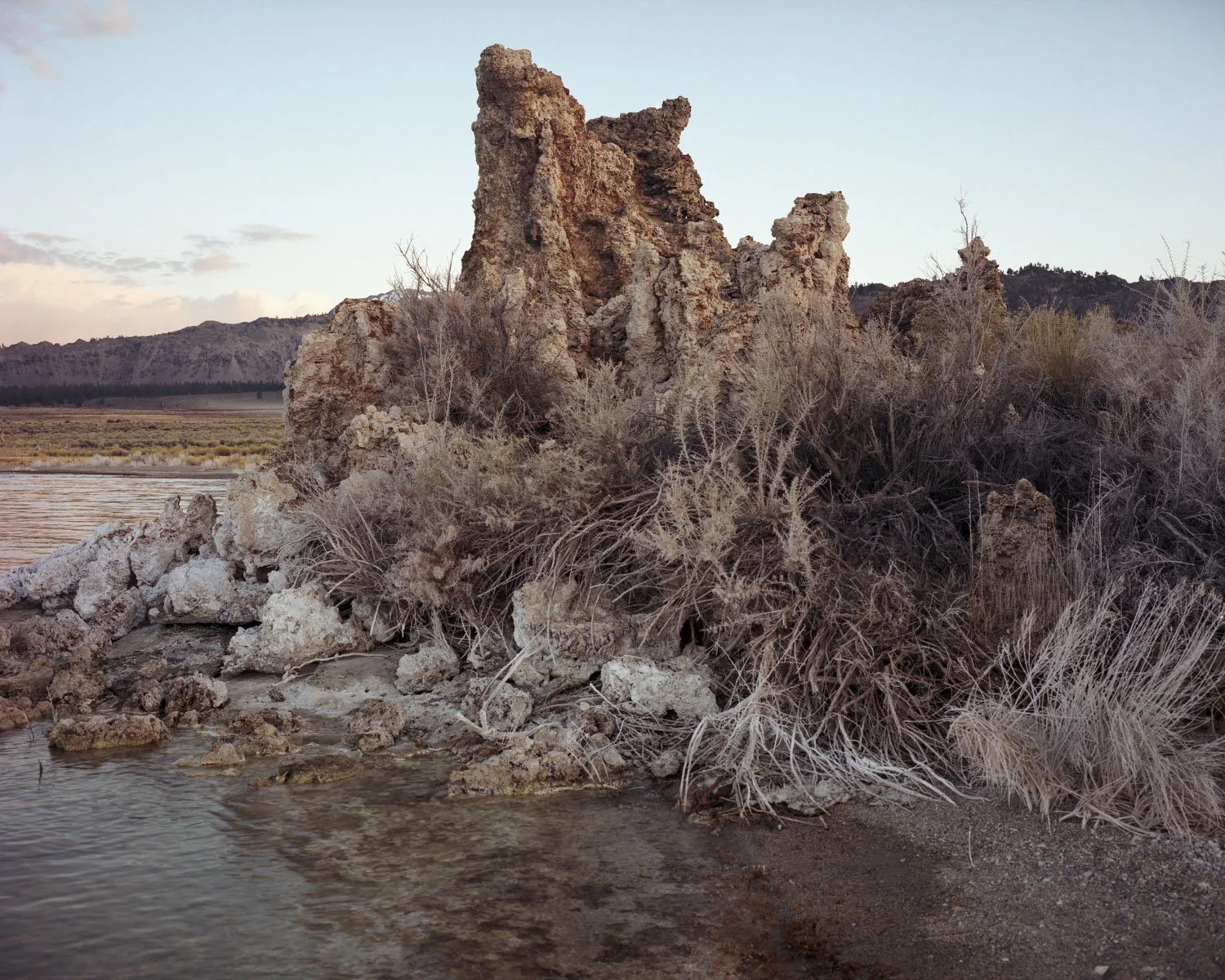 26.02.06_Mono_Lake_9_WEB.jpg