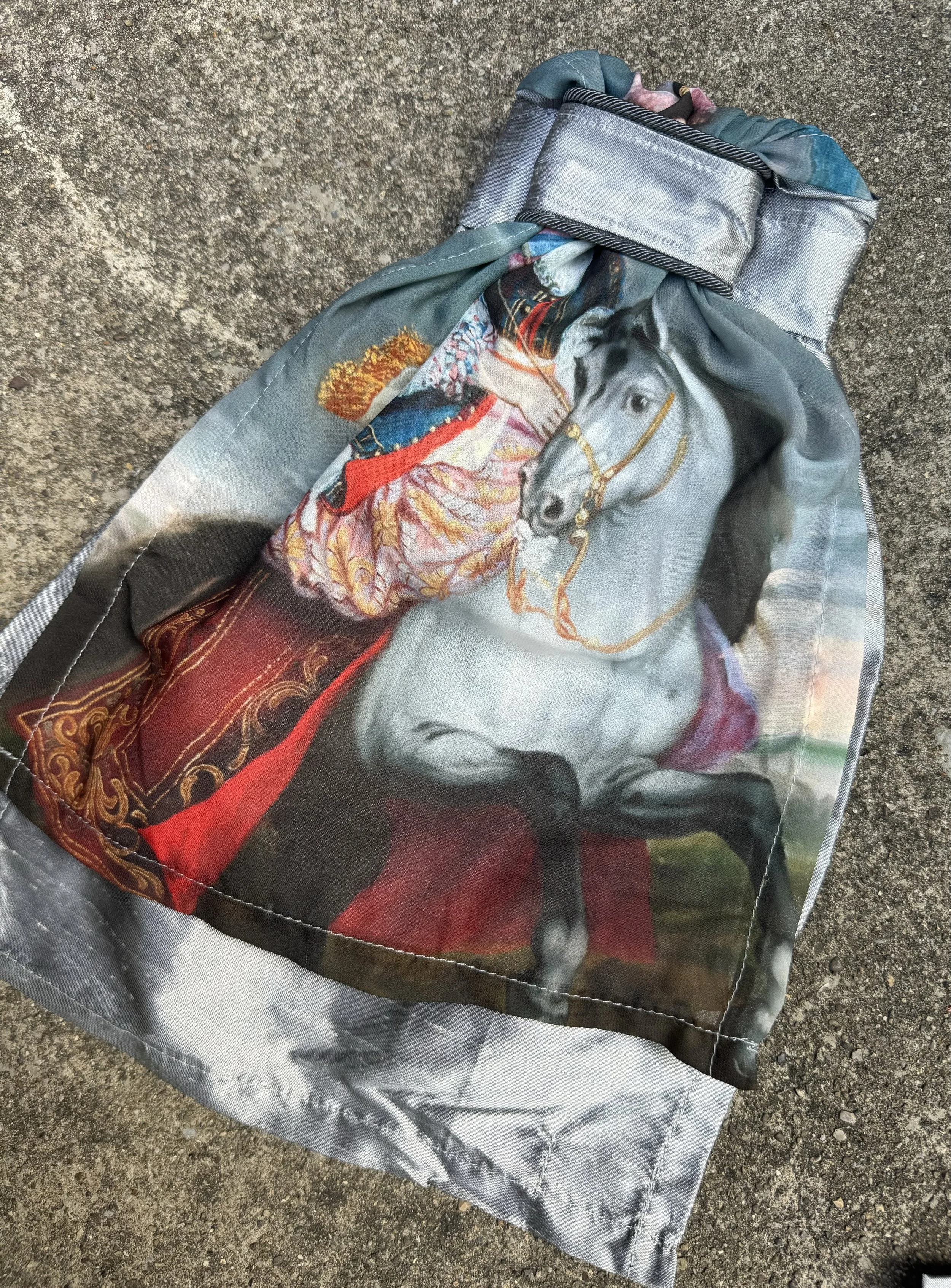 Marie Antoinette Gray Silk Stock Tie